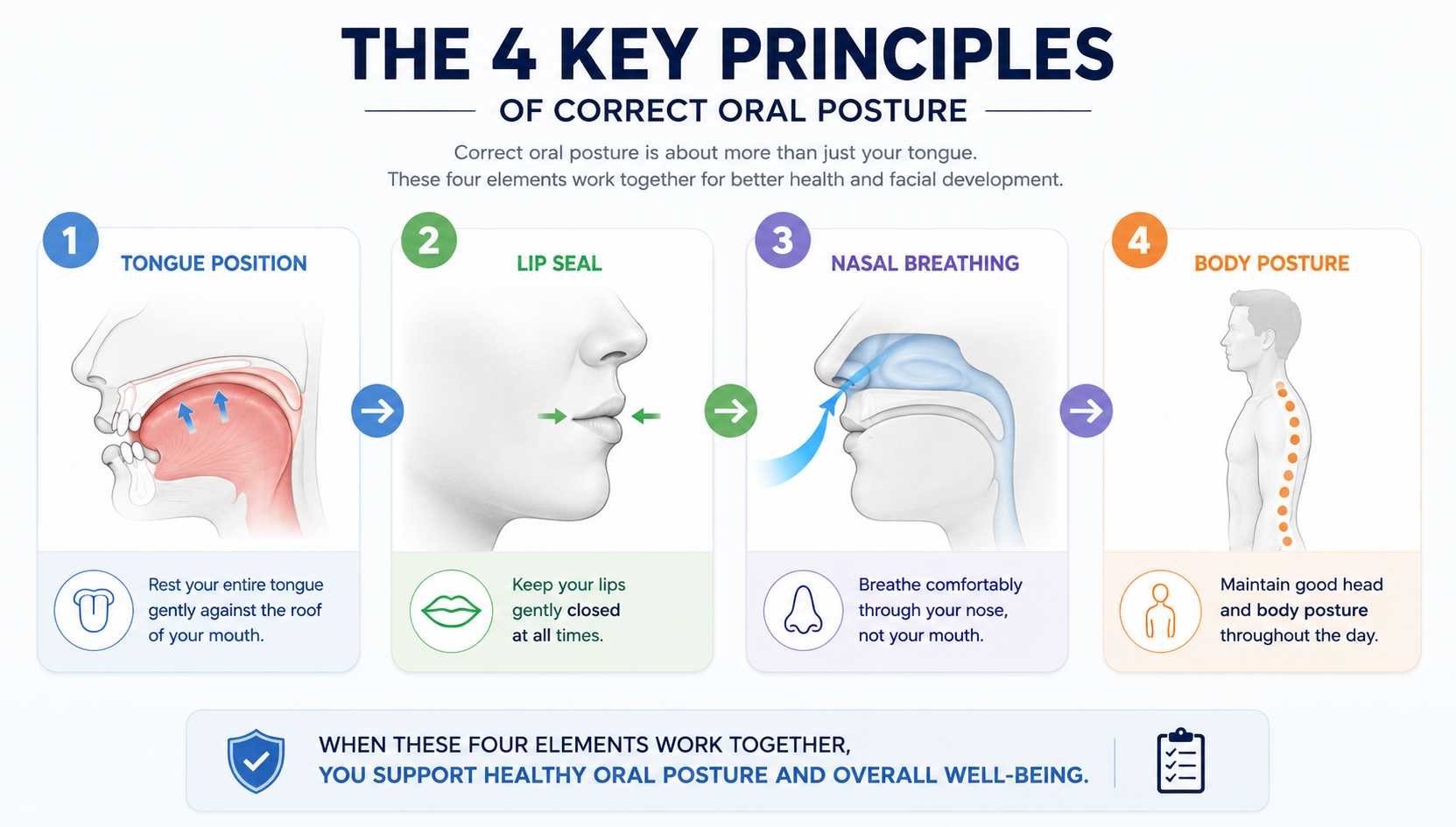 The 4 key principles of correct oral posture